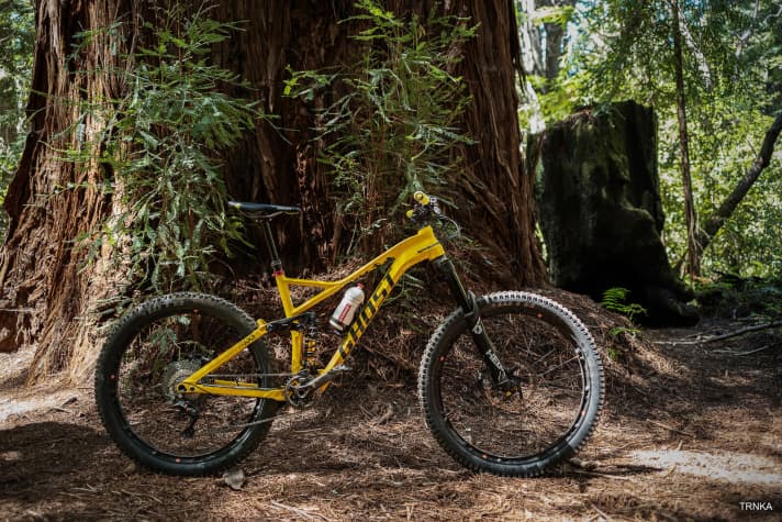   Komplette Ausstattung von Cane Creek, 12fach-Antrieb von Sram und Guide RSC-Bremsen, sowie Laufräder und Cockpit von Syntace. Das Topmodell für 4199 Euro.