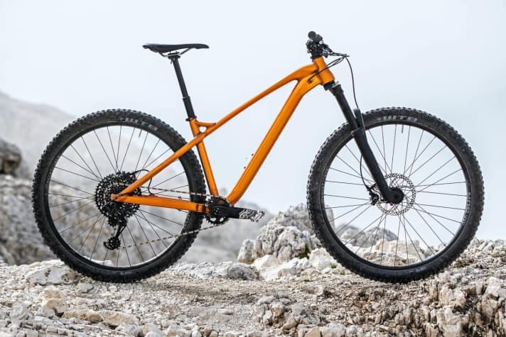   Alutech Cheaptrick, 1999 euros - The hardtail is the archetype of the mountain bike. Without a rear suspension, this type of MTB is significantly cheaper than the fullys and also up to 1.5 kilos lighter. Classic hardtails have a fork with 100 millimetres of suspension travel and are not exactly bursting with comfort. Our test bike is a special trail hardtail with 130 millimetres of suspension travel at the front. It is designed to make downhill fun possible at an attractive price.