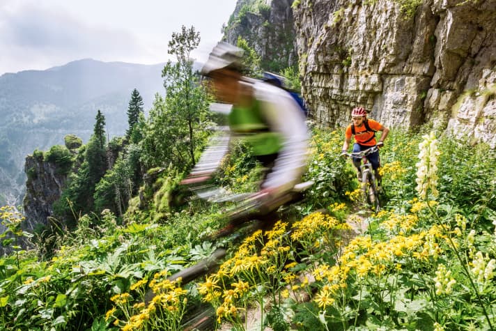 The greenery to the right and left of the trail gives the illusion of more room to manoeuvre than is actually there.