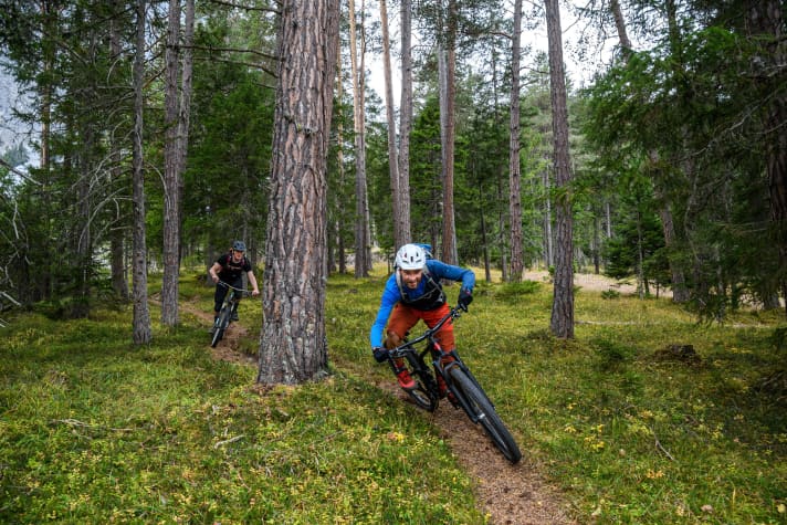   Above the Laj Nairs, the trails swing in wonderful curves through the sparse forest.