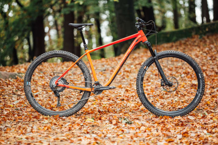   Das Radon Cragger-Hardtail soll den preisgünstigen Einstieg ins Trail-Biken ermöglichen.