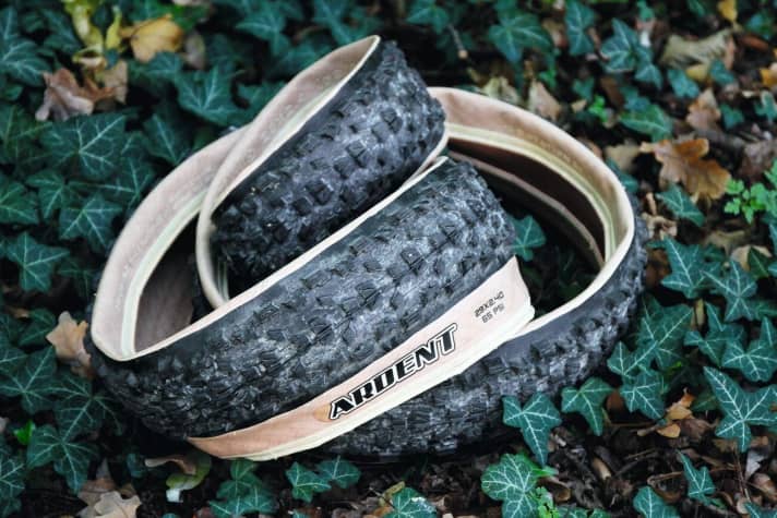   Our test tyre: The skinwall version of the Maxxis Ardent in the MaxxPro compound.