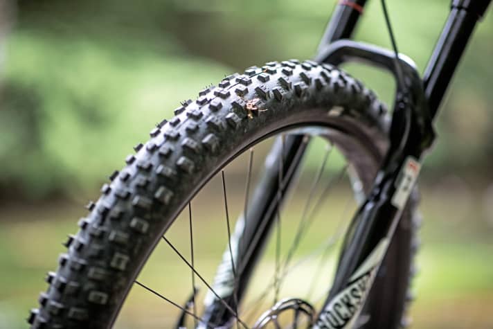   Conway MT 827 Plus: Die 2,8er-Plus-Reifen am Conway rollten schnell, trotz günstiger Gummimischung.