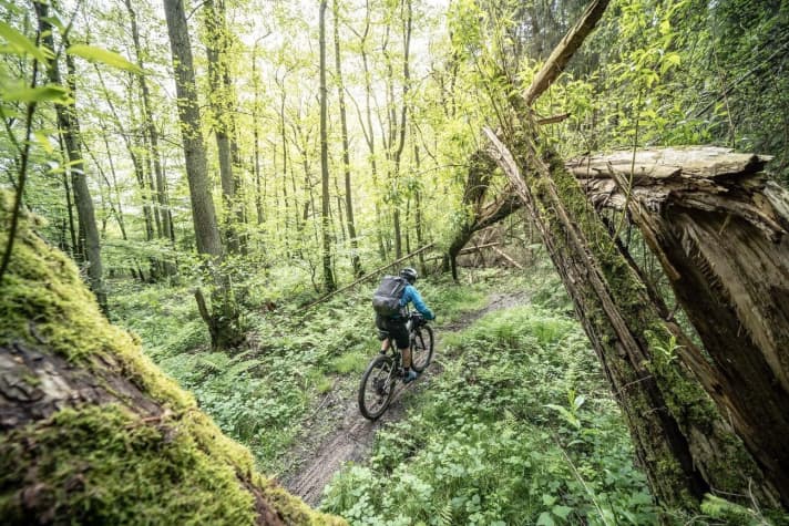   BIKE editor Stefan Loibl had clicked together the playlist for the lonely sections of his MTB tour through Germany. But they were few and far between, with a total of 41 bikers accompanying him on the first section from the border triangle to Bad Orb.