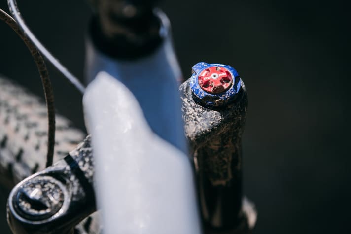   In der Rockshox-Gabel sitzt die Specialized-eigene Brain-Technik.