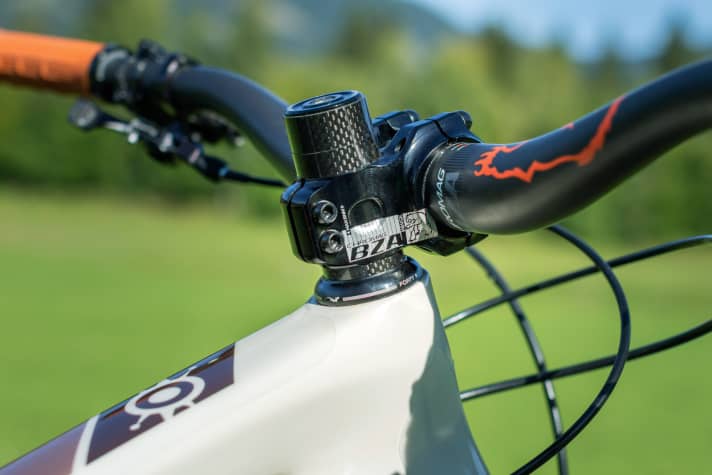   Detail am Alchemy Arktos 29