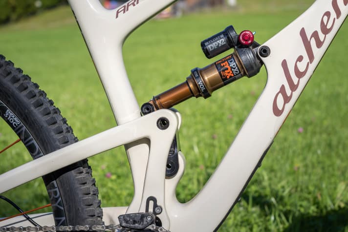   Detail am Alchemy Arktos 29