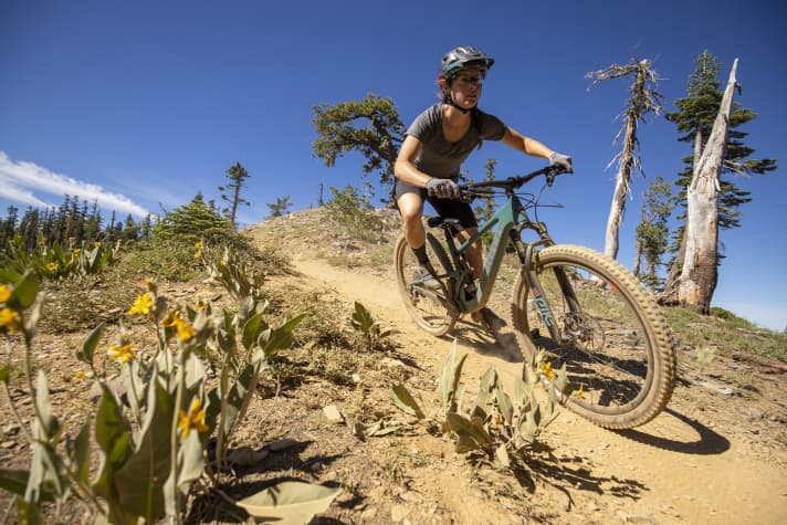   The Juliana Joplin is the ladies' model of the Santa Cruz Tallboy.