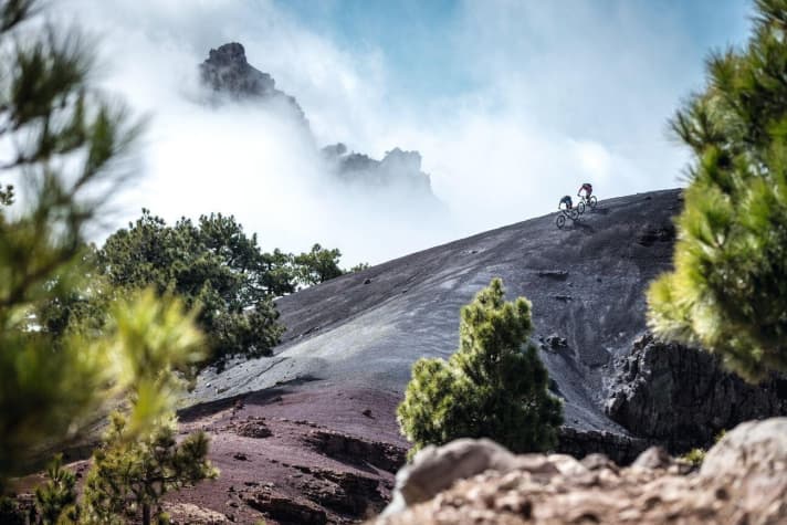   La Palma's high volcanic craters rake the trade wind clouds from the sky, so the west side remains mostly dry.