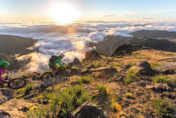   Madeira is famous for its floral splendour, but its steep cliffs are even more spectacular.