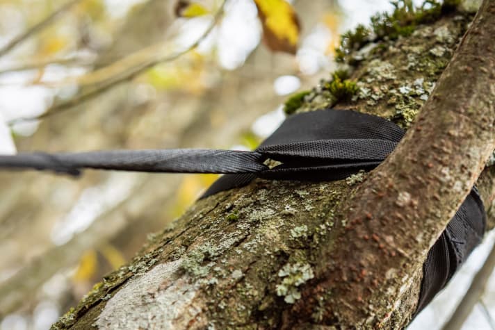 Die 25 Millimeter breite Bandschlinge schont die Baumrinde.