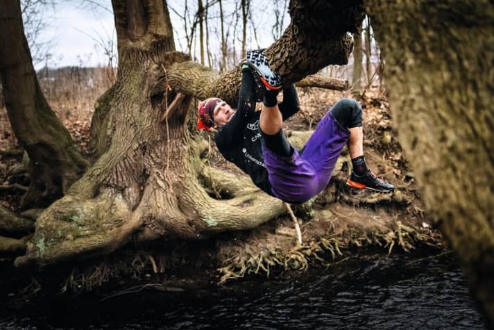   Kletteraffe ohne Bodenberührung