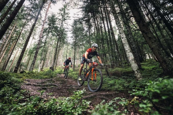   MA - Marathon-Fullys