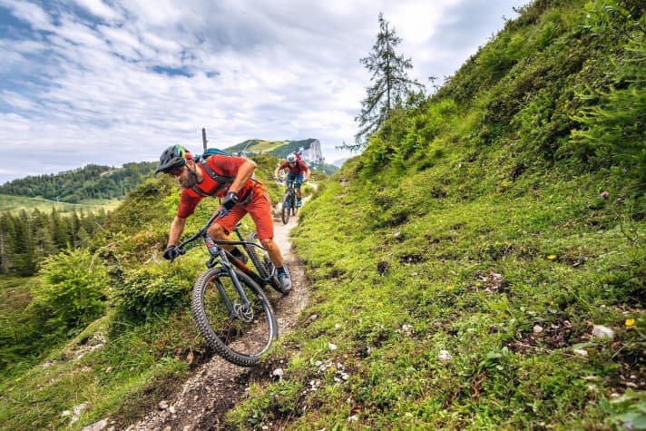   Test 2020 Trail-Hardtails | Vorne fluffig weich, hinten ungefiltert: Solange die Trails nicht zu ruppig werden, kann man es auch mit starrem Heck laufen lassen. Für ein Mindestmaß an Komfort sorgt vor allem niedriger Luftdruck im Reifen.