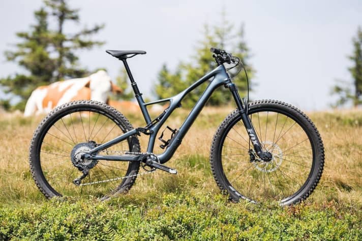   Specialized Stumpjumper ST Comp Carbon 29