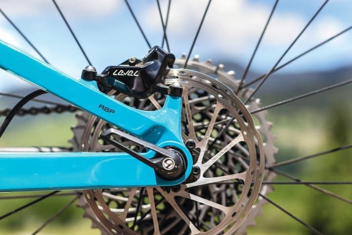   Trek Top Fuel 9.9 XX1: The Top Fuel also retains the typical ABP pivot point (Active Braking Pivot) around the rear wheel axle.