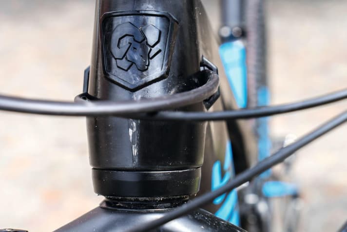   Stoll M1 Worldcup: Der Spacer im Steuerrohr gleicht die geringere Einbauhöhe der 100er-Gabel aus. Das Firmenlogo kommt in Carbon.
