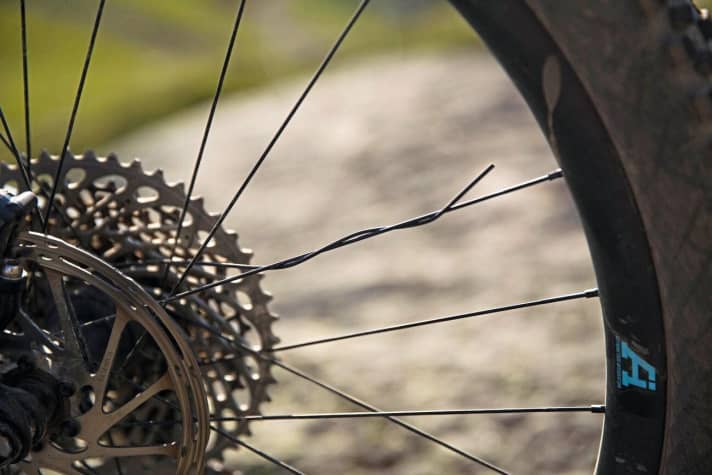   A single broken spoke on a tour is usually no reason to stop riding. Simply wrap the torn spoke around a neighbouring one and continue.