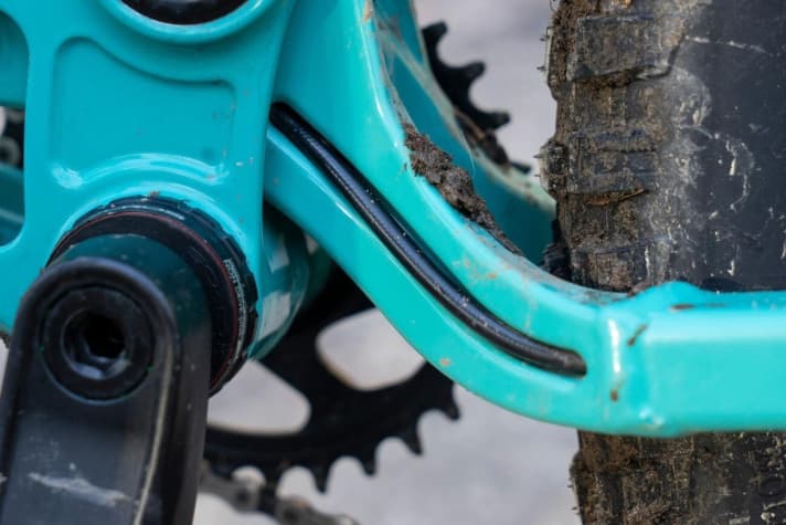   Smartly integrated into the chainstay: the rear brake hose.