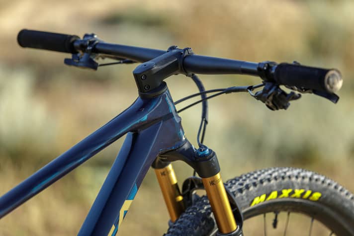 Alma hot sale omx 2021