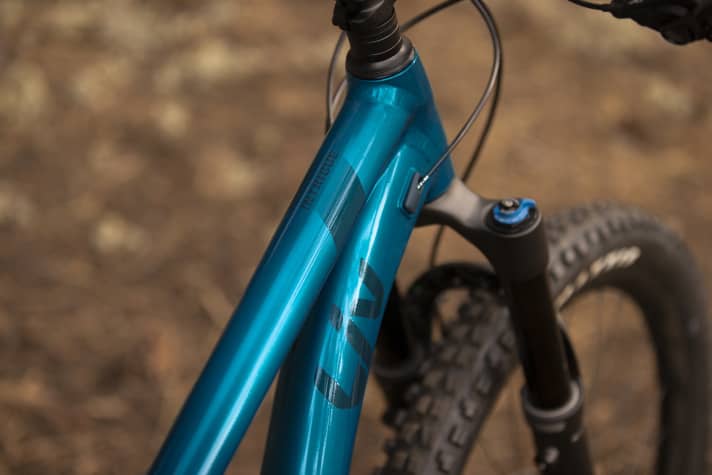  Eine 140-mm-Gabel packt Liv in das Alu-29er.