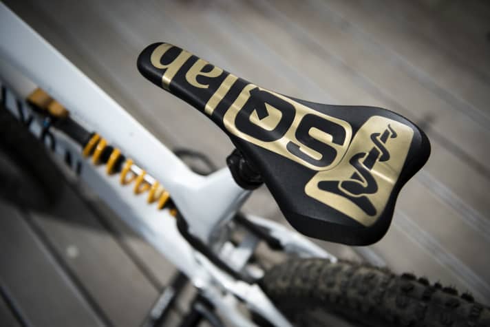   The golden and extra large company logo characterises the Fabio Wimber edition.