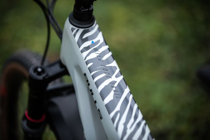 Das Rahmendesign scheint vom Renn-Team und seinen Einsätzen beim Cape Epic inspiriert zu sein.