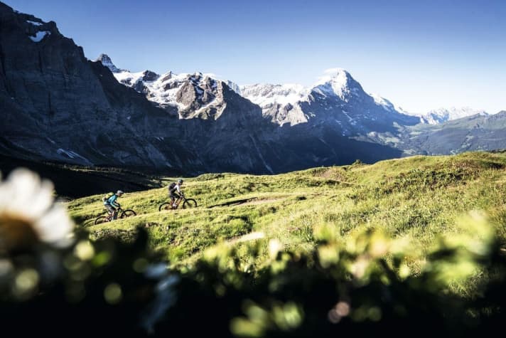   "In the early morning dew to the mountains ..." - if you want to have the path to First to yourself. But then it offers impressive views of the Eiger, Mönch and Jungfrau opposite.