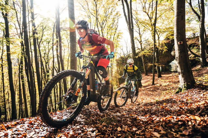   Cruising along leafy paths: The mixed forests in the east of the Nuremberg region fire off a veritable firework display in all shades of colour in autumn.