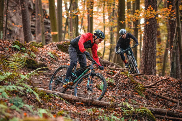   Kalmit, Rheinland-Pfalz