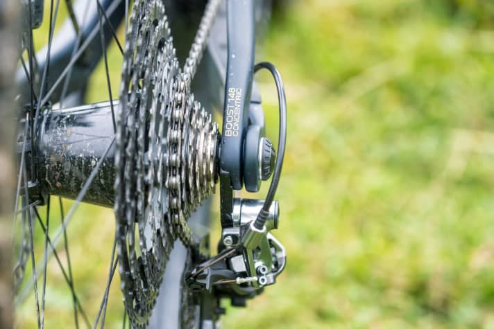   Typisch Orbea: Der Drehpunkt zwischen Sitz- und Kettenstreben liegt auf der Achse des Hinterrades. Die groß dimensionierten Lager sollen besonders robust sein.