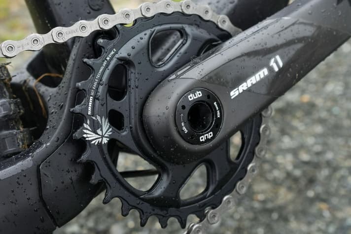   A 30 t chainring with the wide-range Eagle cassette results in a gear ratio suitable for touring.