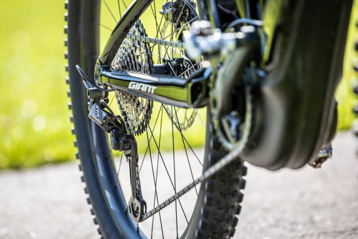   Am Topmodell sorgt ein edles Shimano-XTR-Schaltwerk für geschmeidige Gangwechsel über die zwölf Ritzel.
