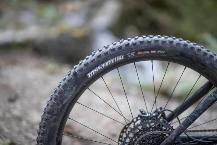   Am Hinterrad hätten wir uns die Maxxis-Bereifung mit Double Down-Karkasse gewünscht – sie bietet mehr Durchschlagschutz als die leichtere Exo+-Karkasse.
