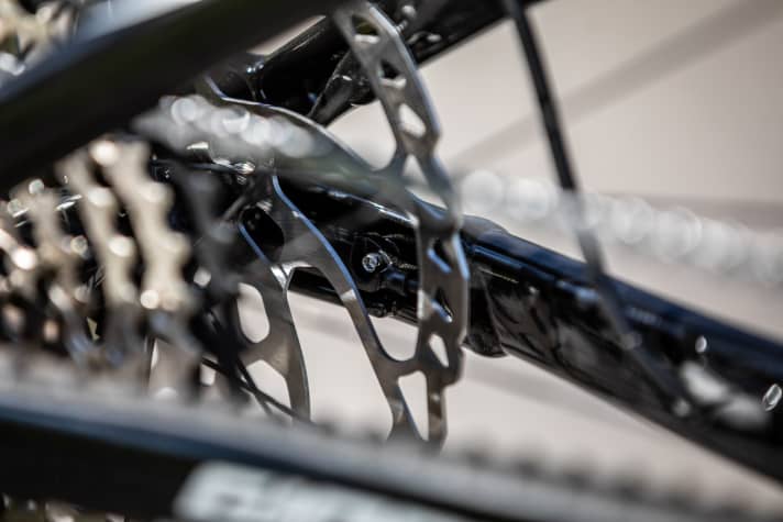   In der neuesten Ausbaustufe hat Giant den Speedsensor sauber ins Ausfallende integriert. Super: Auch das Kabel verläuft bis ganz hinten in den Kettenstreben.