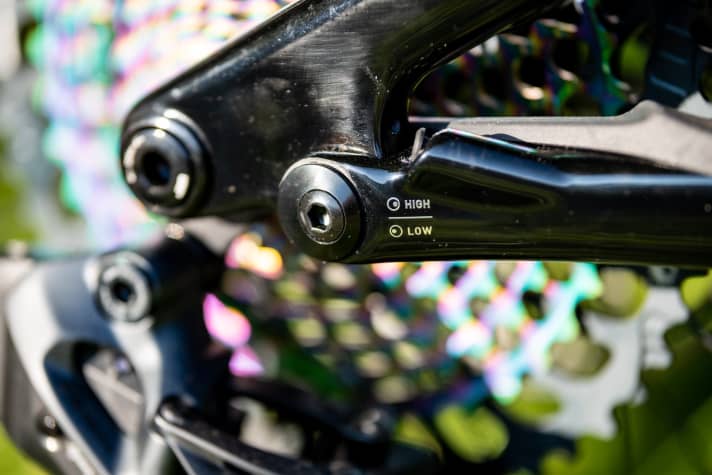   The flip chip extends the chainstays and lowers the bottom bracket.
