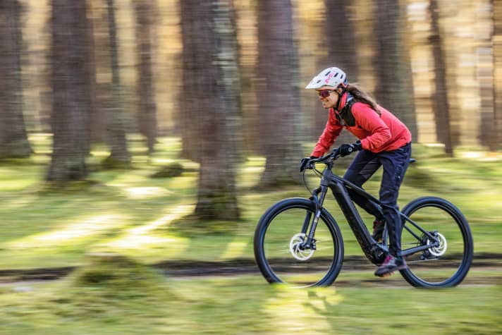   Hardtail: Radon Jealous Hybrid 9.0 – 2999 Euro – 120 mm – 23,2 kg – 29"