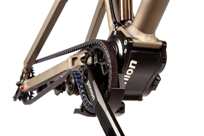   What looks like an electric motor is the Pinion gearbox. Instead of a chain, the Gates belt transmits the power to the rear wheel.