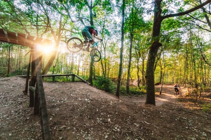   120 Tiefenmeter warten auf dem Flowtrail Ottweiler.