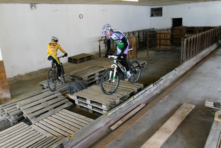 Dad Herbert had sold the 30 cows when he gave up his job as a farmer. Andreas and Georg used the empty barn to train their skills on a lovingly designed Euro pallet course.