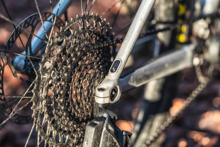   Alle Zugein- und ausgänge sind sauber verschraubt. Die obligatorische X-12-Steckachse nimmt Werkzeug auf.