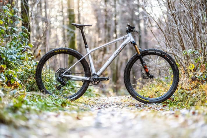   LITEVILLE  H3 MK3 | 10,5 kg / 119 mm / 29" / 7400 Euro (Rahmen 880 Euro)