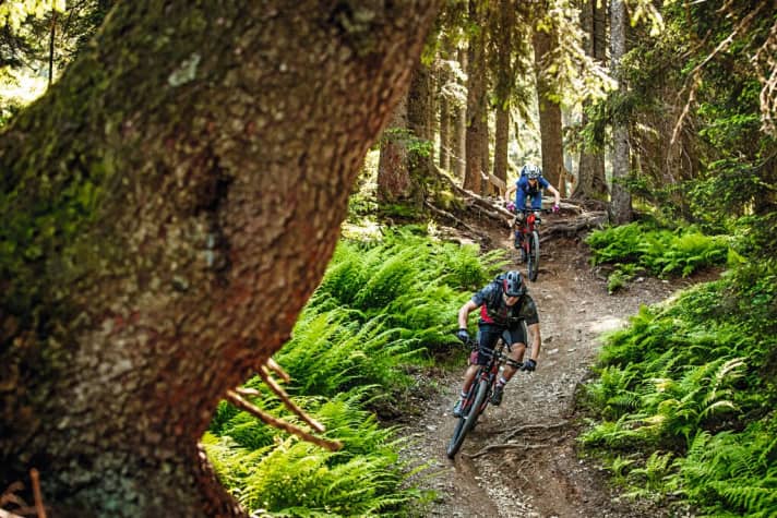   Fleckalm-Trail