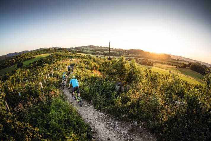 Land of 1000 peaks: the Sauerland has more to offer than bike parks and ski jumping competitions. Page 118
