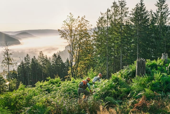Schwarzwald | Baiersbronn