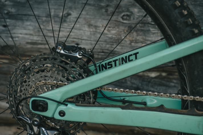   The noise-suppressing chainstay protector in detail.