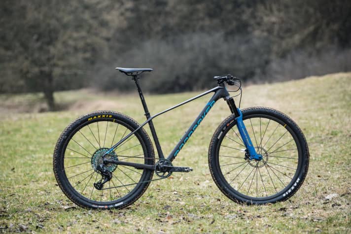 Best of Test die besten Mountainbike Hardtails 2022 BIKE