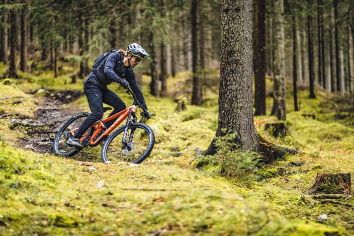   The Barbarasteig zigzags through the forest slope. Its speciality: hairpin bends, steep passages and roots.