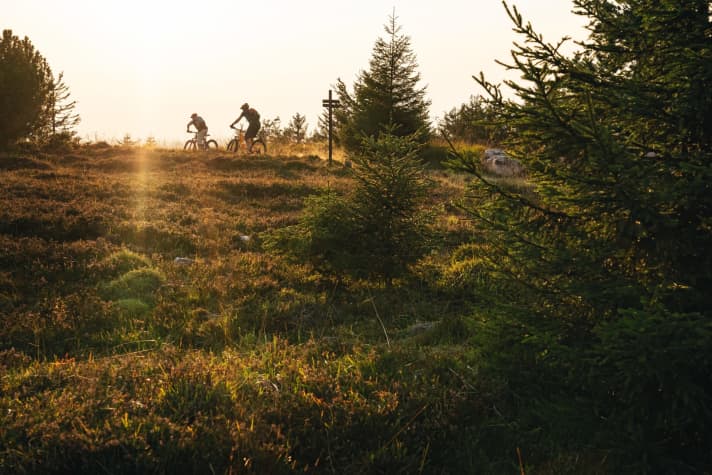   Dream trails through the fairytale forest. For many, the Baiersbronn trails are still an unknown insider tip. Despite the two-metre rule, trail and touring mountain bikers get their money's worth here. Completely legal!