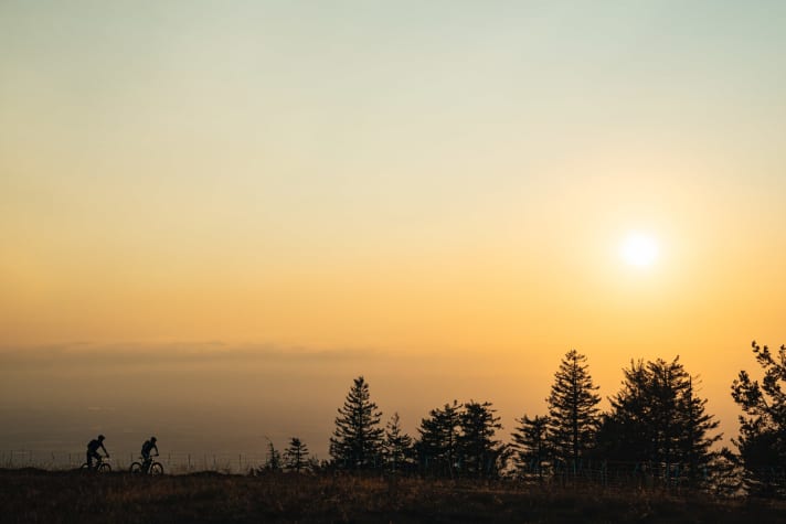   Weitblick: In einer großen Schleife führt die Karseen-Tour auf Forstwegen durch den Nationalpark Schwarzwald zum Panoramagipfel Hornisgrinde.